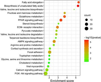 Effect of Gender to Fat Deposition in Yaks Based on Transcriptomic and Metabolomics Analysis